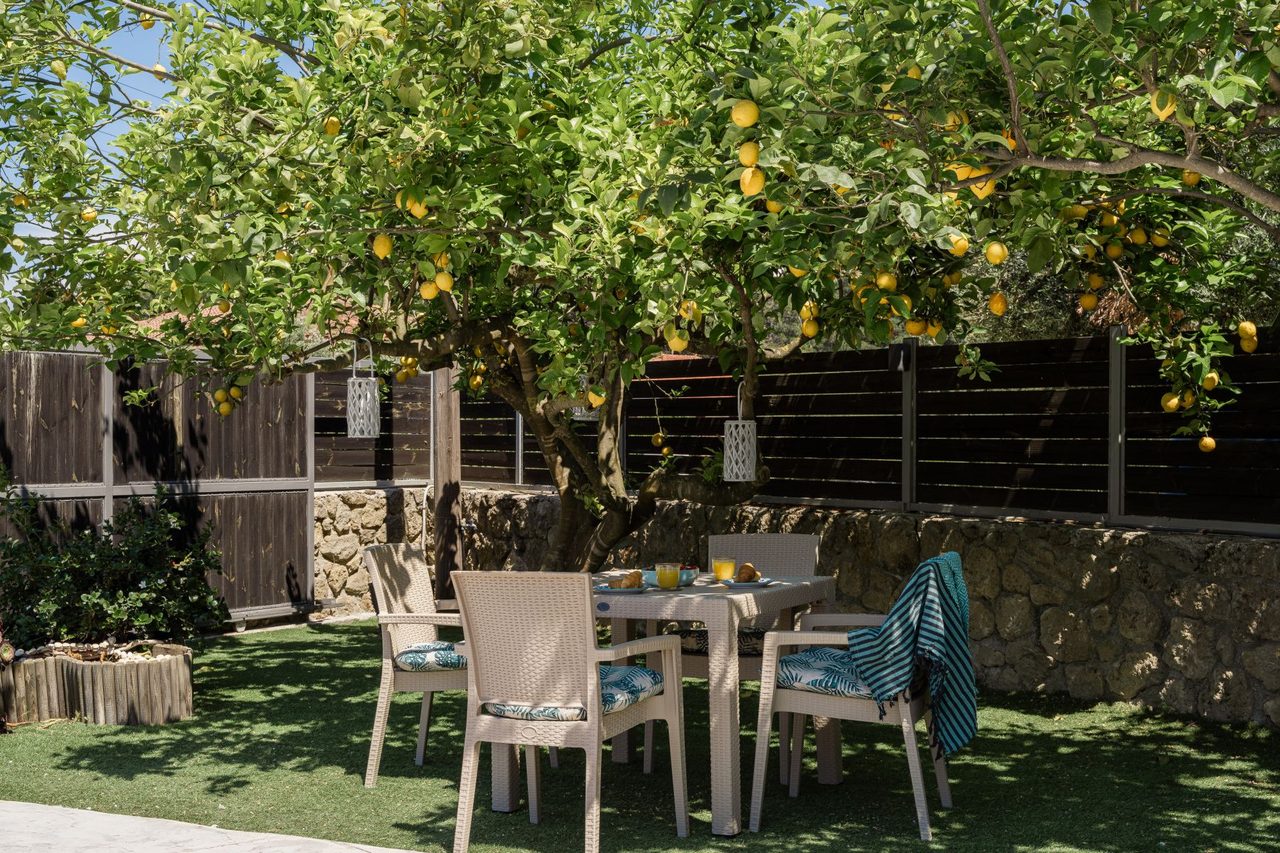 Outdoor Living